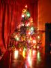 Christmas tree (2)