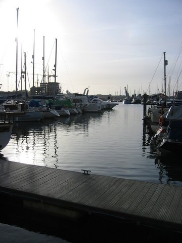 Boats in the dock