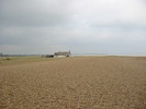 Shingle Street