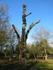 Carved oak trees