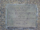 Plaque